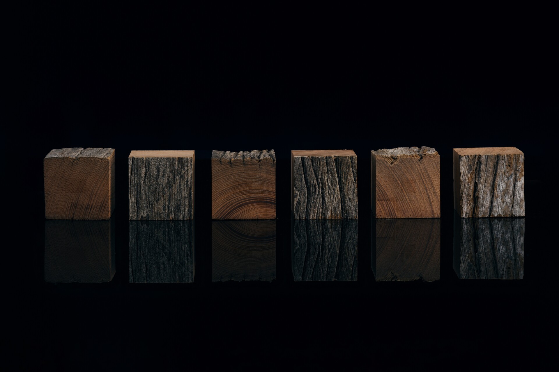 Fuki-urushi (Wiping lacquer) | RESOURCE | KOGEI STANDARD | Online